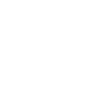 WildWorks Art Debbie Snider